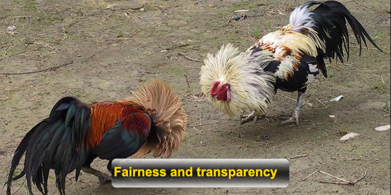 Fairness and transparency