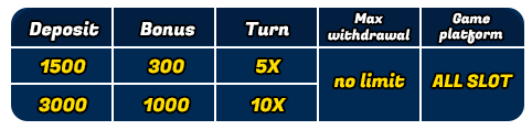 Weekend bonus Promotion detail